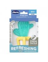 MASSAGGIA GENGIVE REFRIGERANTE CACTUS