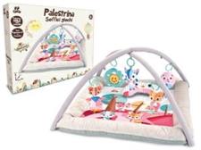 PALESTRINA CON ARCO GIOCO E MUSICA ROSA